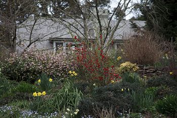 Parklands Country Gardens And Lodges - SA Accommodation 12