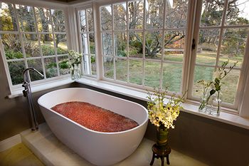 Parklands Country Gardens And Lodges - SA Accommodation 27