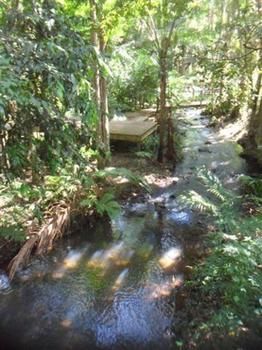 Treetops Accommodation Montville - SA Accommodation 0