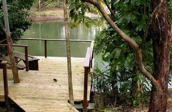 Treetops Accommodation Montville - SA Accommodation 8