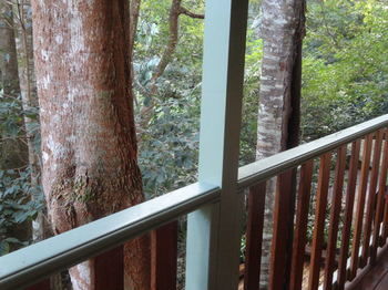 Treetops Accommodation Montville - SA Accommodation 9