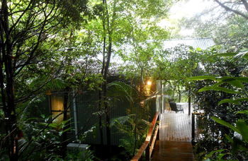 Treetops Accommodation Montville - SA Accommodation 12