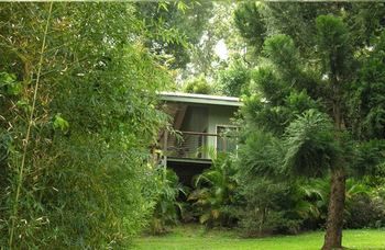 Treetops Accommodation Montville - SA Accommodation 13