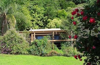 Treetops Accommodation Montville - SA Accommodation 14