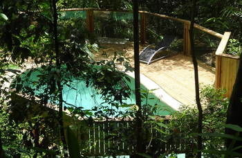 Treetops Accommodation Montville - SA Accommodation 16