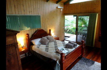Treetops Accommodation Montville - SA Accommodation 18