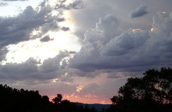 Treetops Accommodation Montville - SA Accommodation 26