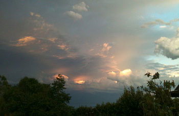 Treetops Accommodation Montville - SA Accommodation 27