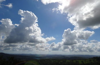Treetops Accommodation Montville - SA Accommodation 28