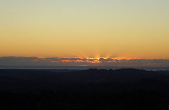 Treetops Accommodation Montville - SA Accommodation 29