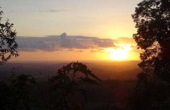 Treetops Accommodation Montville - SA Accommodation 30