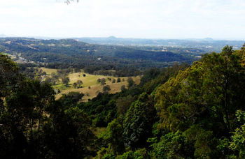 Treetops Accommodation Montville - SA Accommodation 31