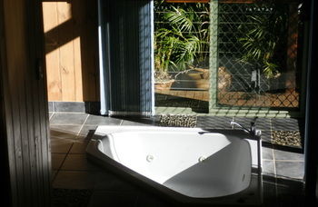 Treetops Accommodation Montville - SA Accommodation 34