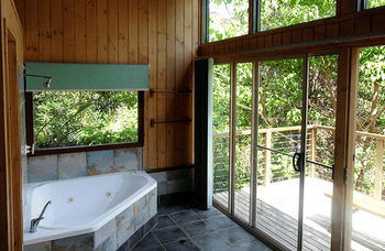 Treetops Accommodation Montville - SA Accommodation 36