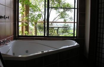 Treetops Accommodation Montville - SA Accommodation 38