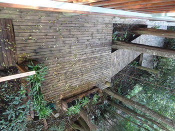 Treetops Accommodation Montville - SA Accommodation 53