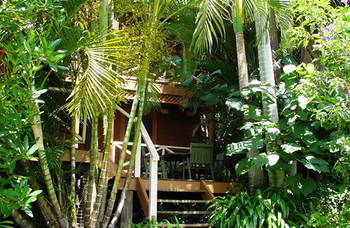 Treetops Accommodation Montville - SA Accommodation 54