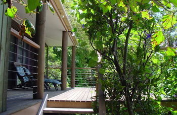 Treetops Accommodation Montville - SA Accommodation 59