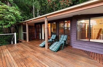 Treetops Accommodation Montville - SA Accommodation 61