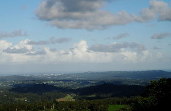 Treetops Accommodation Montville - SA Accommodation 63