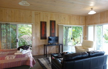 Treetops Accommodation Montville - SA Accommodation 64