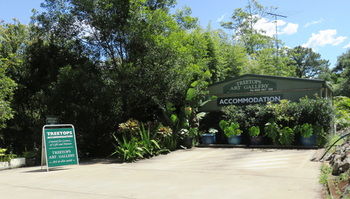 Treetops Accommodation Montville - SA Accommodation 67