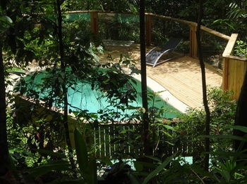 Treetops Accommodation Montville - SA Accommodation 74