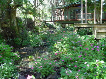 Treetops Accommodation Montville - SA Accommodation 76