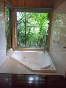Treetops Accommodation Montville - SA Accommodation 84