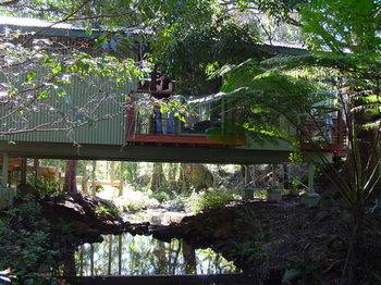 Treetops Accommodation Montville - SA Accommodation 87