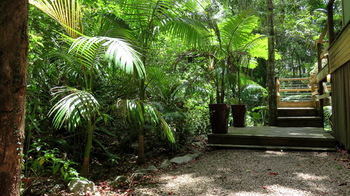 Treetops Accommodation Montville - SA Accommodation 89