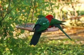 Glenview Retreat Luxury Bed & Breakfast - SA Accommodation 12