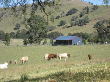 The Wattle Lodge - SA Accommodation 19