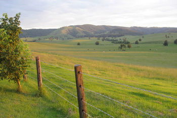 The Wattle Lodge - SA Accommodation 21