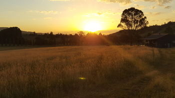 The Wattle Lodge - SA Accommodation 35