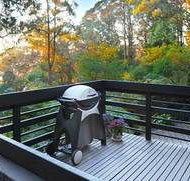 Misty Woods Retreat - Olinda - SA Accommodation