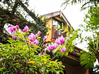 The Regents Park - SA Accommodation 3