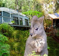 Huon Bush Retreats - SA Accommodation