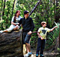 Tahune Airwalk Lodge - SA Accommodation