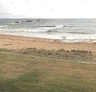 Penguin Caravan Park - SA Accommodation