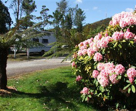 Zeehan Bush Camp  And Caravan Park - SA Accommodation 0