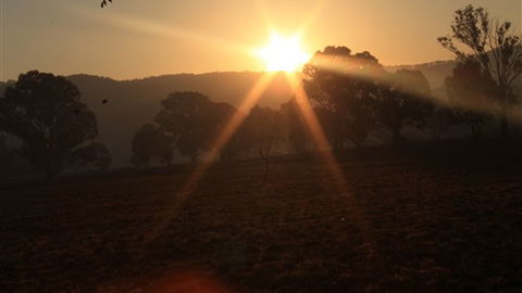 Gentle Annie Caravan And Camping Reserve - SA Accommodation 1