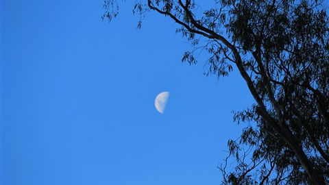 Gentle Annie Caravan And Camping Reserve - SA Accommodation 4