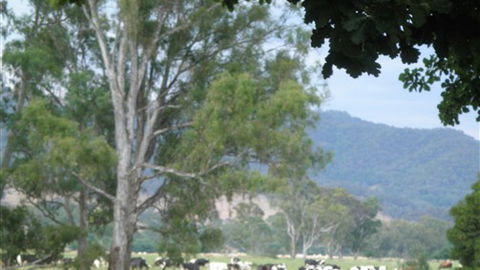 Gentle Annie Caravan And Camping Reserve - SA Accommodation 3