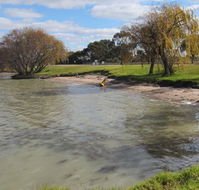 Kangaroo Lake Caravan Park - SA Accommodation