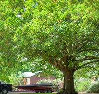 Lakes and Craters Holiday Park - SA Accommodation
