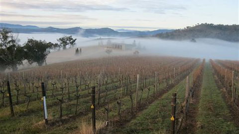 Valley View Caravan Park - SA Accommodation 5