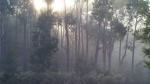 Carinya Park - SA Accommodation 3