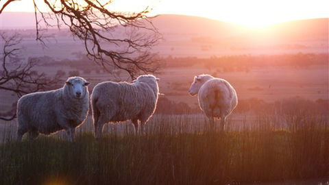 Tuki Trout Farm And Retreat - SA Accommodation 4
