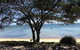 Adams Beach Camping Ground - thumb 0